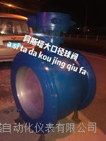 ARSOTA型偏心半球阀 侧双式手动大型偏心半球阀 DN900半球阀